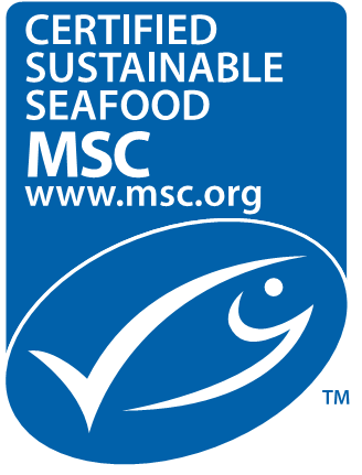 msc logo long